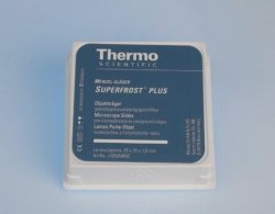 Superfrost® Plus adhesive microscope slides | Type : SuperFrost<sup>®</sup> Plus